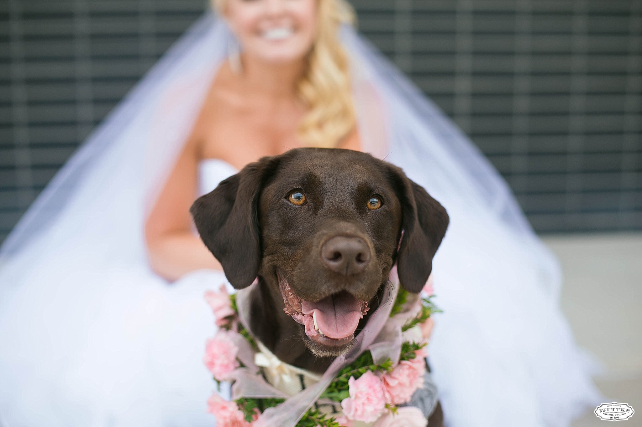 milwaukee-wedding-photography-SM_0145