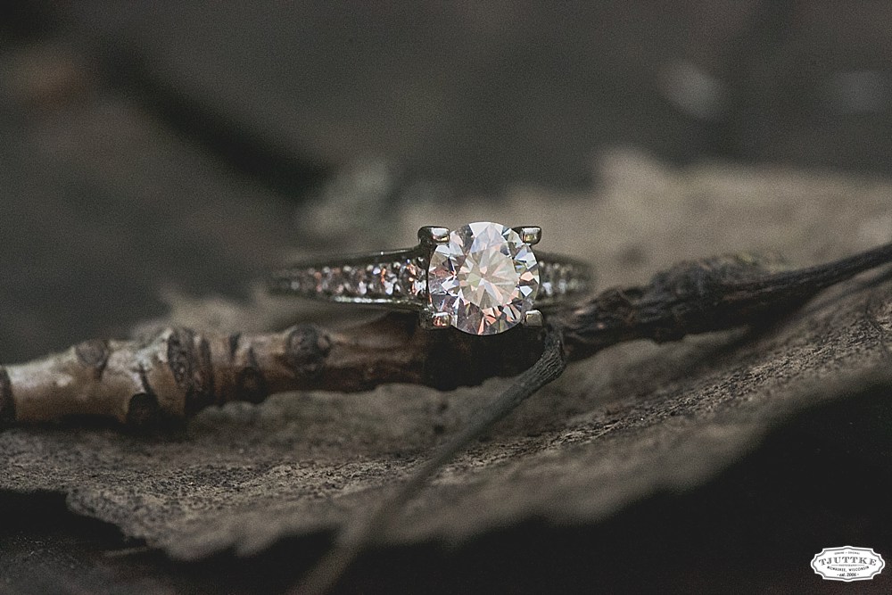 milwaukee engagement photography_0899