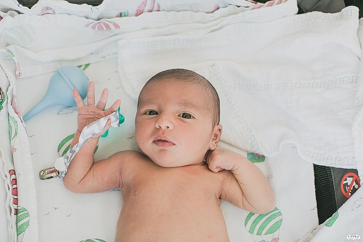 Milwaukee Newborn Photography Milwaukee Newborn Photography