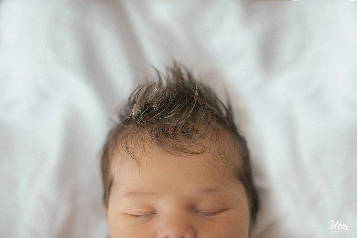 Milwaukee newborn photography