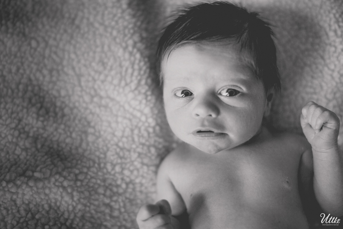 milwaukee-newborn-photography-Elijah_0004
