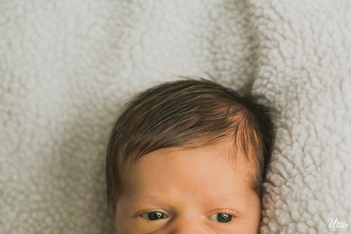 milwaukee-newborn-photography-Elijah_0005