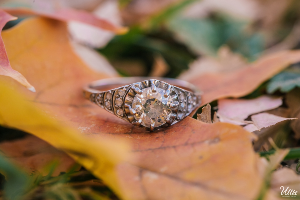 Wisconsin Fall Engagement_0032