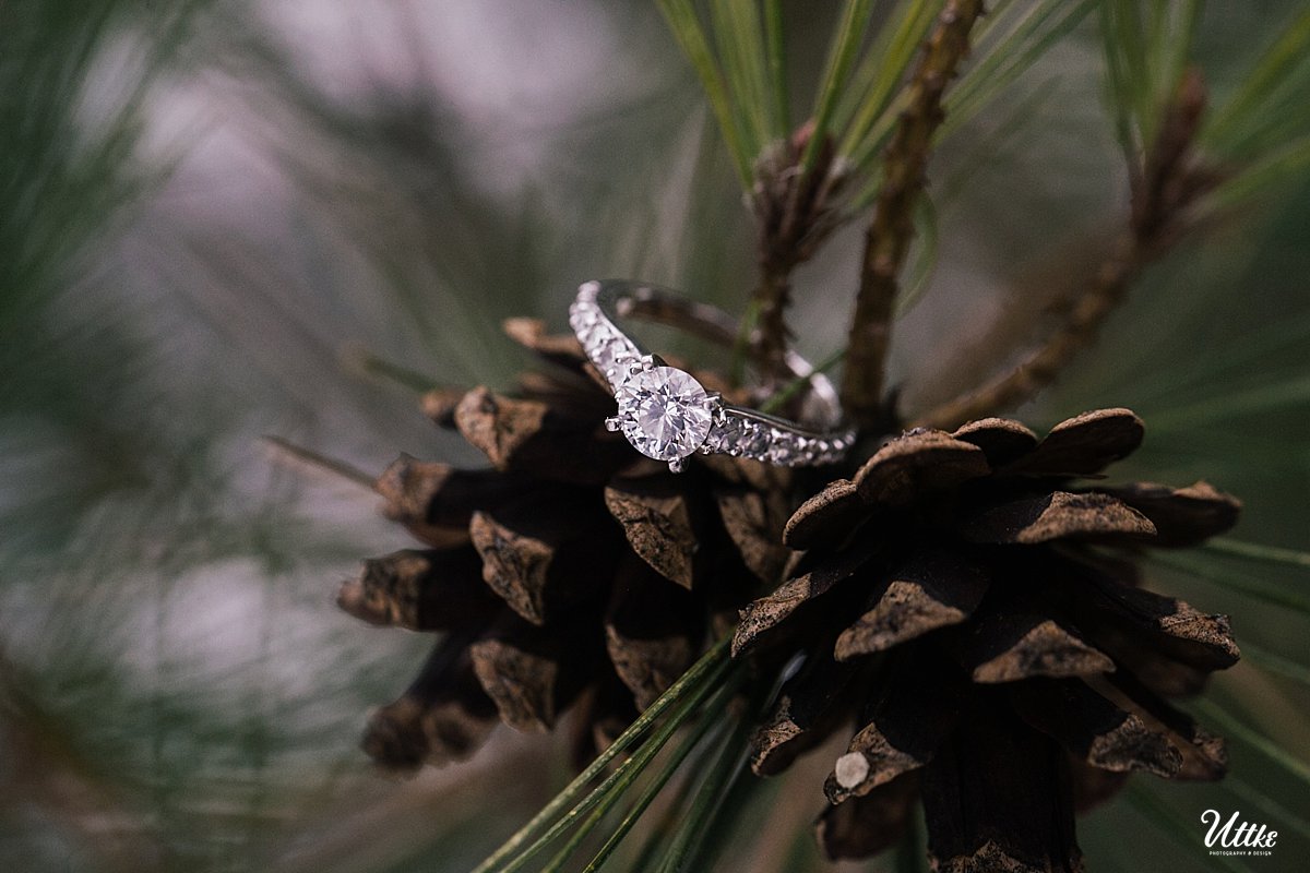 midwest winter engagement_0205
