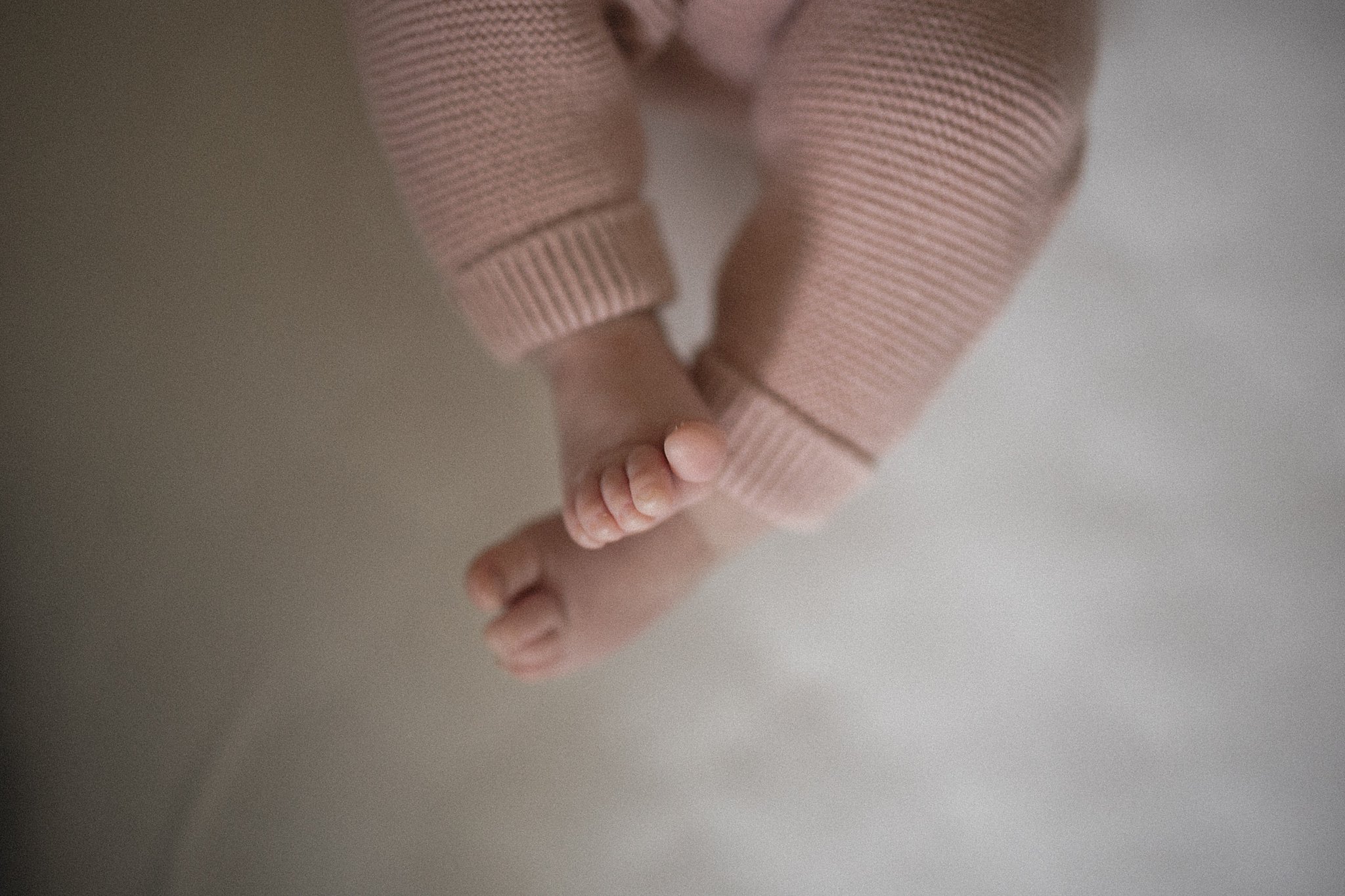 newborn photography milwaukee